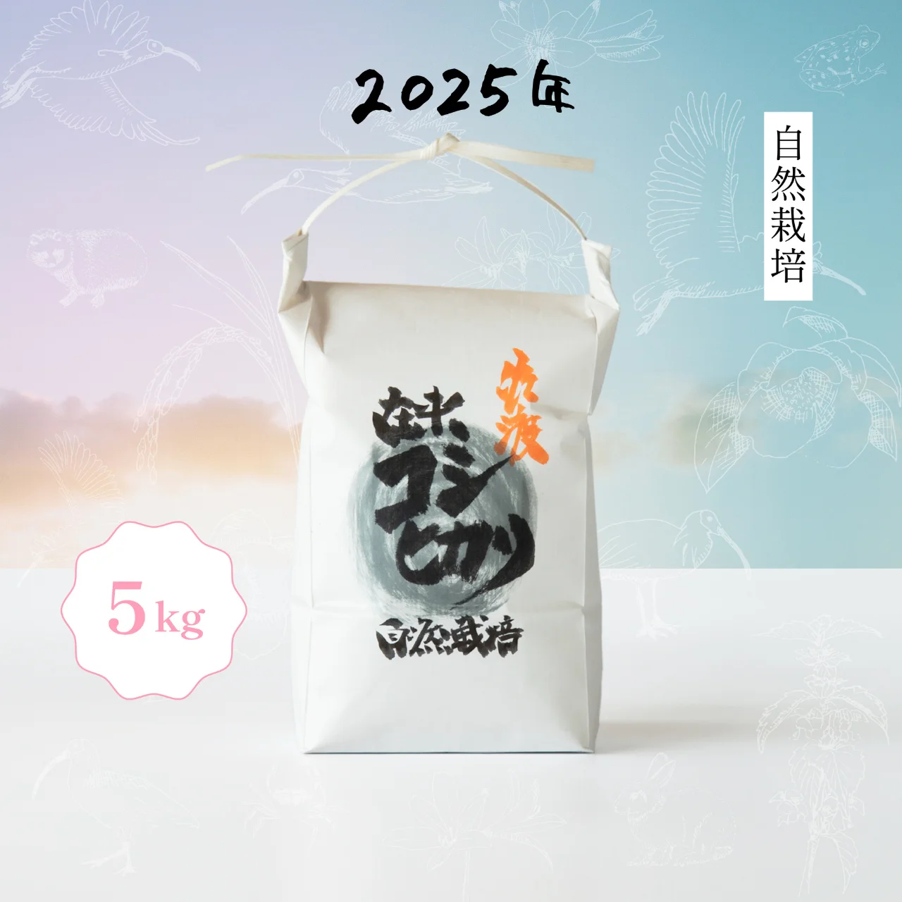 在来コシヒカリ】10kg 令和7年産 新潟県佐渡産 自然栽培 | イケベジ