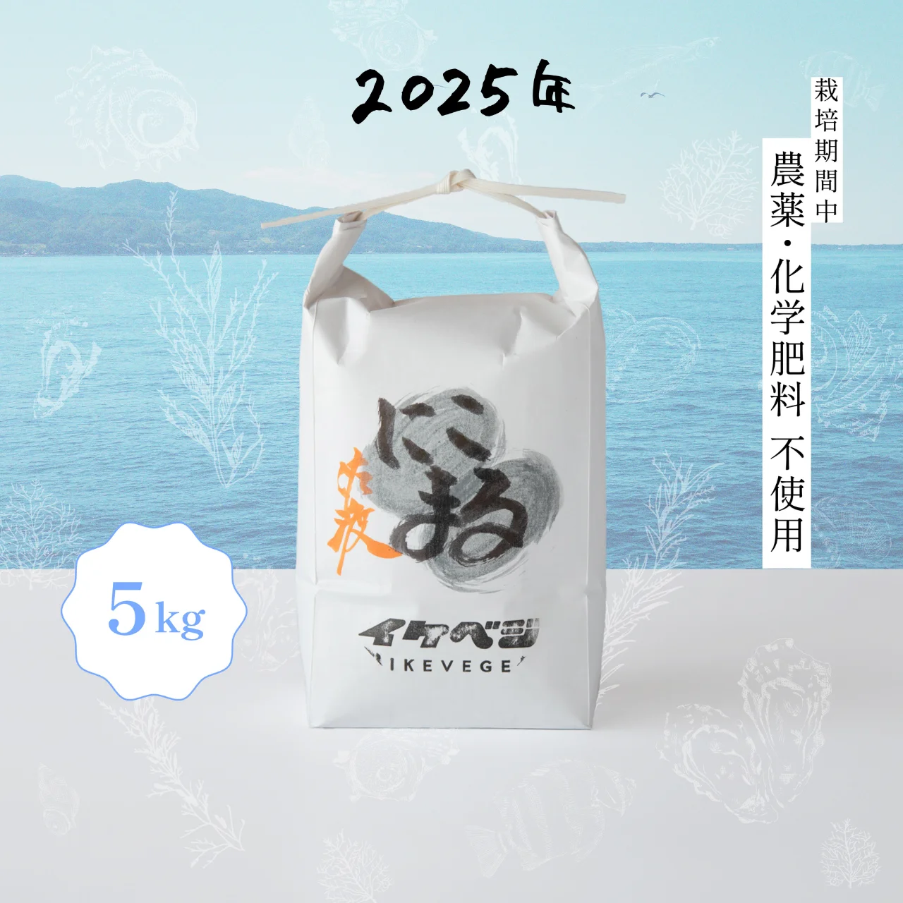 農薬化学肥料除草剤不使用　令和7年度新米　愛媛県産にこまる　天日干し米 20kg にこまる】5kg 令和7年産 新潟県佐渡産 農薬・化学肥料不使用栽培