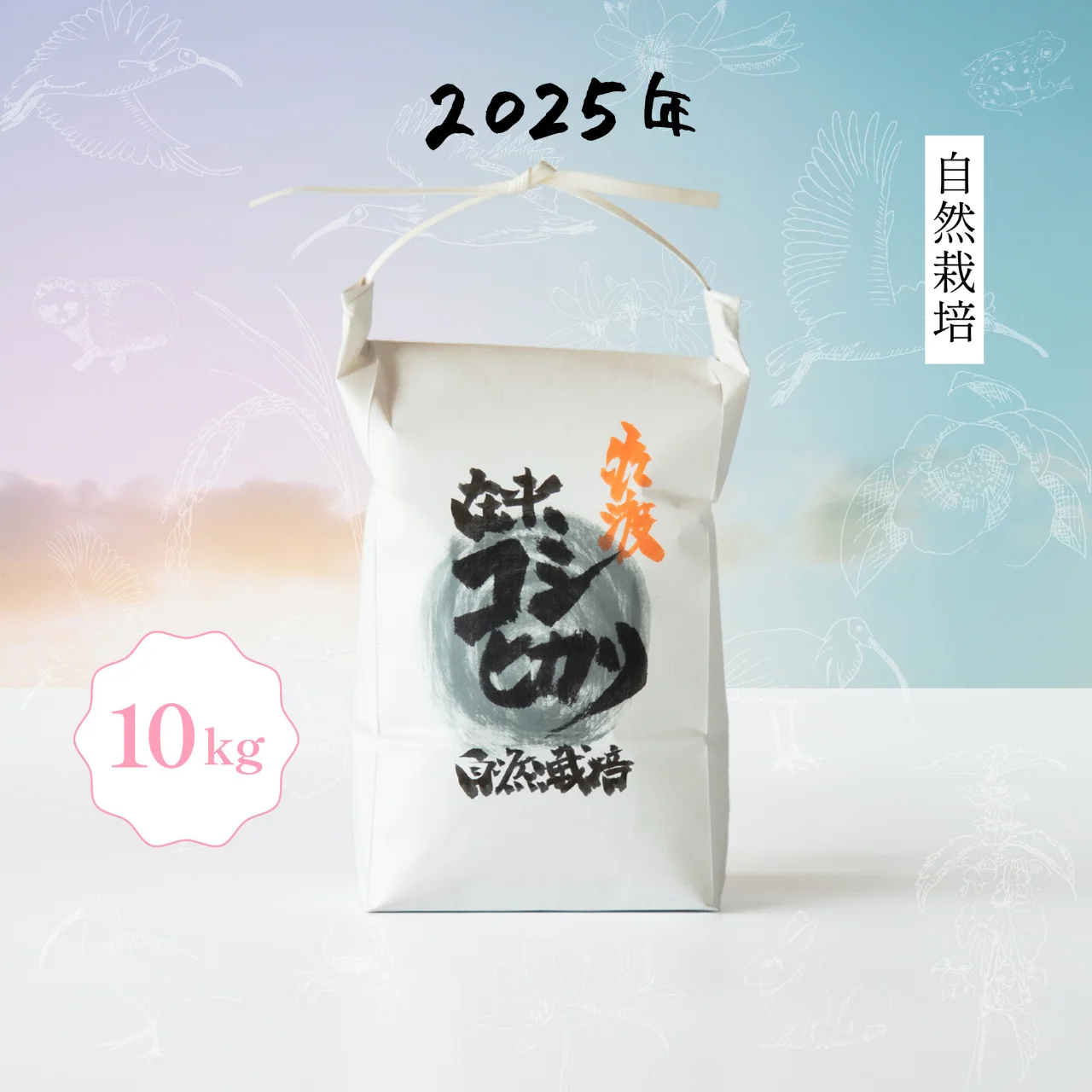 在来コシヒカリ】10kg 令和7年産 新潟県佐渡産 自然栽培 | イケベジ
