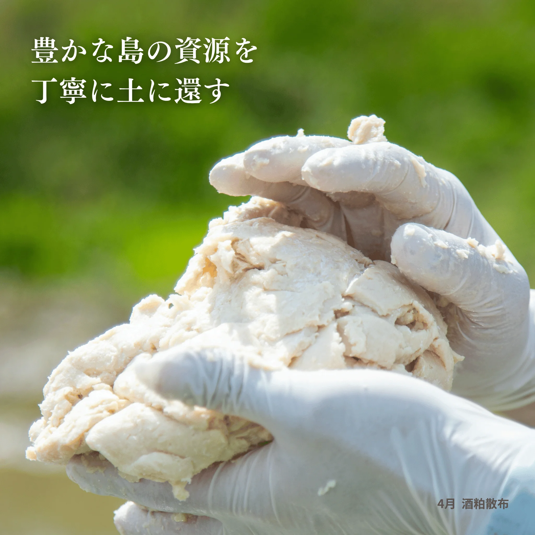 にこまる】5kg 令和8年産 新潟県佐渡産 農薬・化学肥料不使用栽培