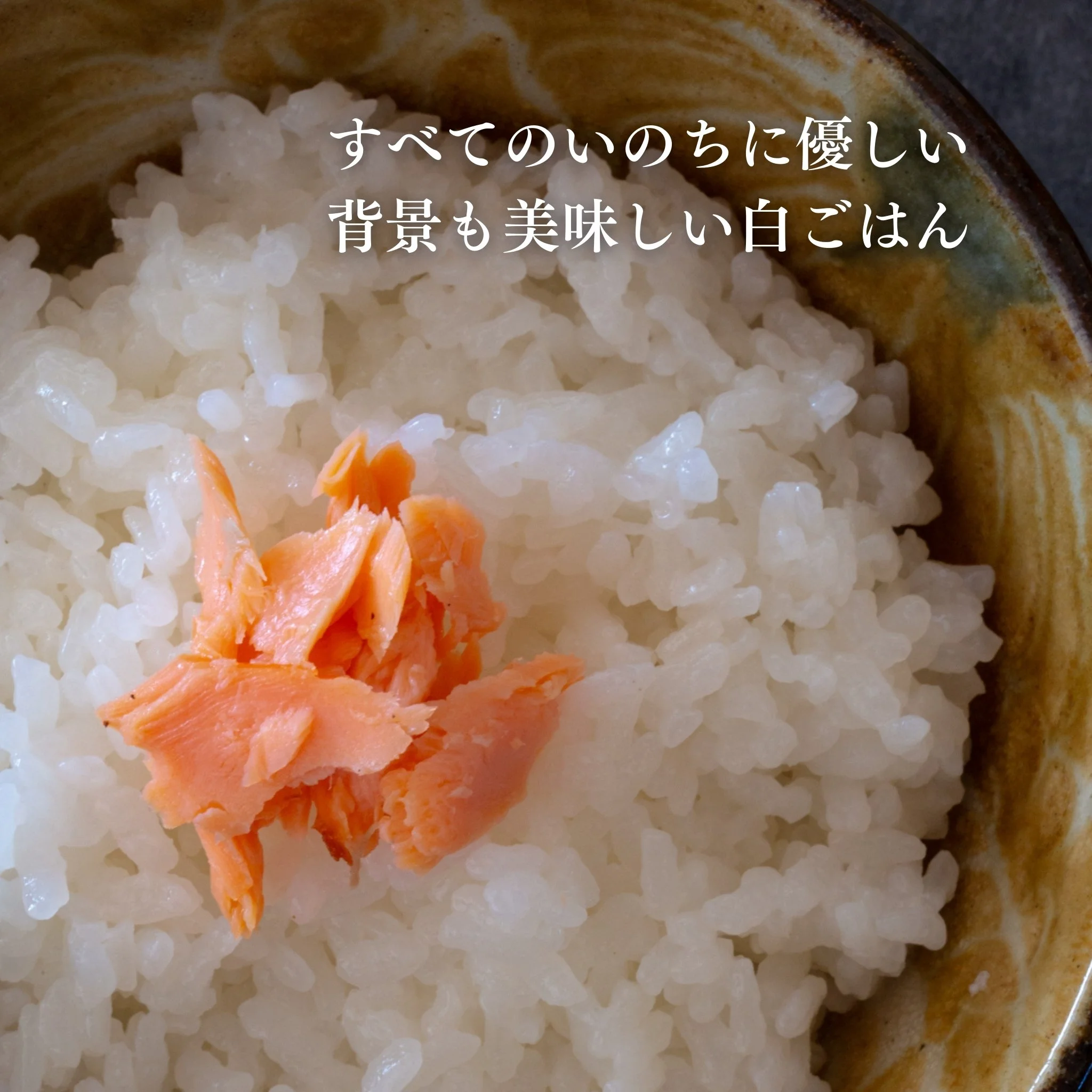 在来コシヒカリ】10kg 令和7年産 新潟県佐渡産 自然栽培 | イケベジ