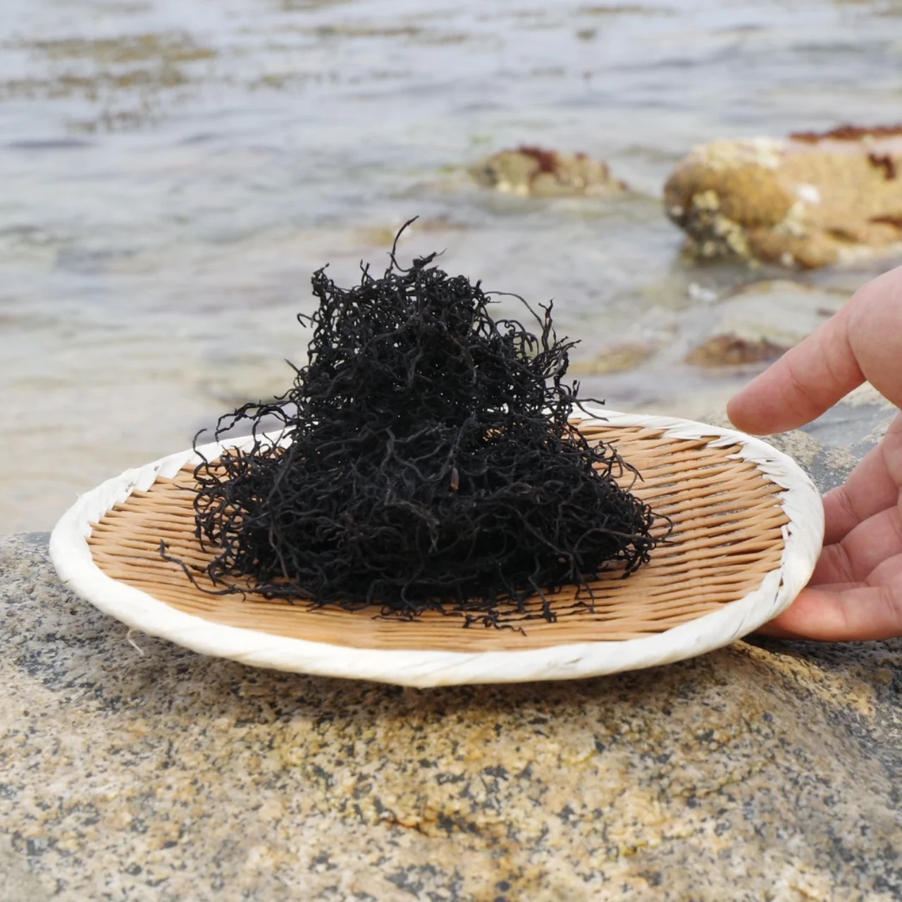 天然ひじき(25g)【淡路島】 | イケベジ | 佐渡ヶ島のオーガニックファーム